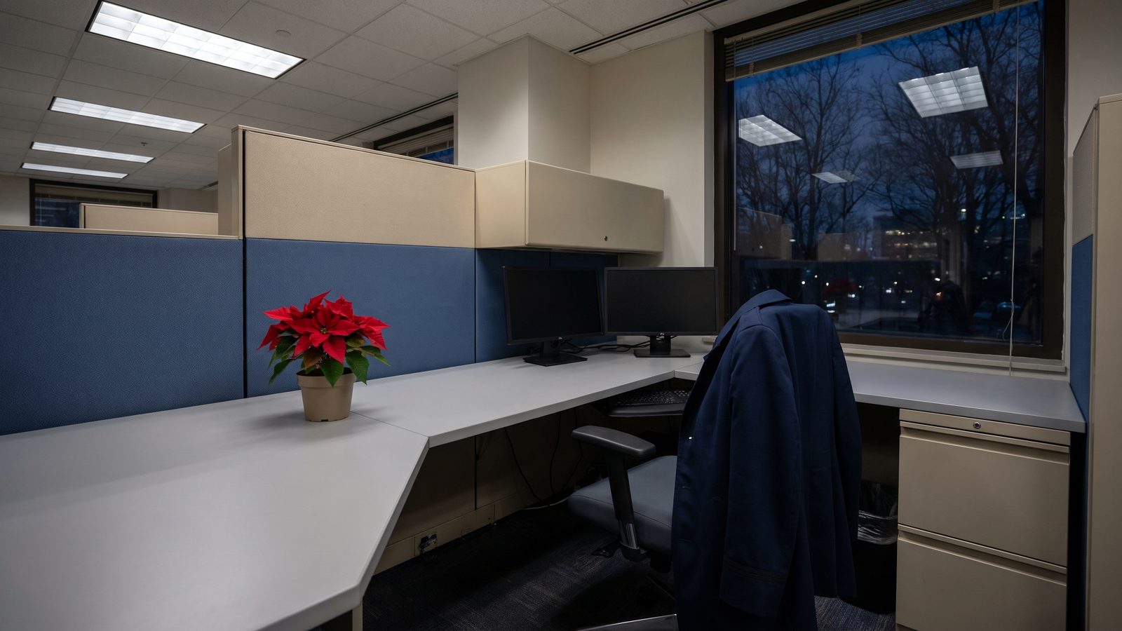 An empty federal office cubicle at dusk with a red poinsettia on the desk and a coat on the chair